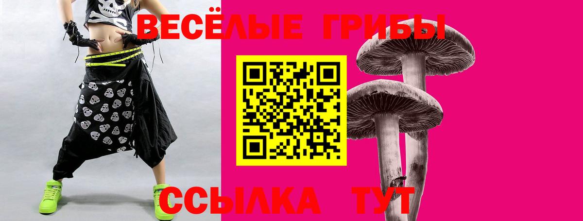 Галлюциногенные грибы Magic Shrooms Михайловск